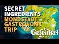 Secret Ingredients Genshin Impact Mondstadt Gastronomy Trip