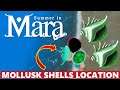 Where To Find Mollusk Shells Summer In Mara Tutorial - Figure Out A Way To Make Saimi Open The Door
