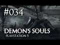 DEMON'S SOULS (Remake) ► #034 ⛌ (Lass mich raus aus diesem Alptraum)