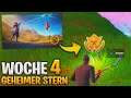 Fortnite: Geheimer Stern Schrottsturm ⭐ Woche 4 Battle-Stern (Ladebildschirm Season 10) | Detu