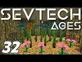 Minecraft - Building a FARM inside a GIANT TREE - Minecraft Sevtech: Ages Ep 32