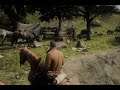 Red Dead Redemption 2 _Skinners Brothers ruthless killings