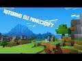 SI TORNA A FARE I BIMBIMINKIA SU MINECRAFT + 250 ISCRITTI ESCO LA FACCIA