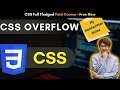 CSS 2021 Tutorial : CSS Overflow | overflow-x, overflow-y, overflow visible in hindi #csstutorial