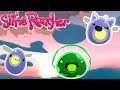 Finding new slimes - Slime Rancher