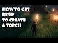 How to get resin to create a torch - Valheim Beginner's Guide