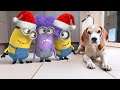 Minions in REAL LIFE Animation Christmas Compilation! Must see! #3
