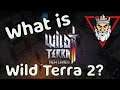 Wild Terra 2 : New Lands - What is this MMORPG?