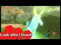 Finally found Satori, Lord of the Mountain! |BoTW