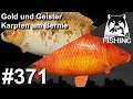 Gold, Geister und Zeilkarpfen Spot Bernsteinsee | Russian Fishing 4 #371 | Deutsch | UwF