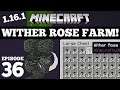 How To Make a Wither Rose Farm Minecraft 1.16.1 #36
