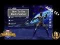 How To Use Black Panther - Realm of Champions