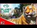 Planet ZOO | Building my ZOO! |#2 [BETA]