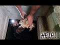 RESCUING AN ANIMAL FROM under GROUND WELL INSIDE HAUNTED ASYLUM!