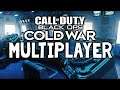Black Ops Cold War Multiplayer Armada Team Deathmatch Gameplay