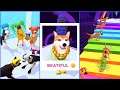 Groomer Run 🐕😹🐶Best Funny All Levels Gameplay Android iOS ✅ Walkthrough Level 1-20 | iTop GamePlay