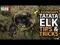*NEW* Legendary Tatata Elk Location Tips & Tricks in Red Dead Online