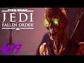 STAR WARS Jedi Fallen Order : Lets Play #19 - OMG ZOMBIES KOMMEN !! 😱🔥