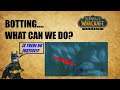 Botting in World of Warcraft Classic Is A Problem (Discussion)