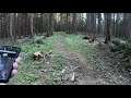 Geocache trip from hell (With Lazy) - Part 4