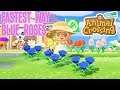 How To Get Blue Roses In Animal Crossing New Horizons [Best Method]