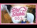 Let's Play Star Stable [SSO] ♥ Part 003 - Endlich Pferdepflege [PC/STREAM] (Deutsch | HD)