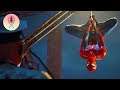 Studios PlayStation Might Acquire! Insomniac to Remedy w/Game Speak Podcast! - Cross Circle #44
