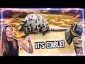 Survival Expert REACTS to ARK: Survival Evolved | Experts React