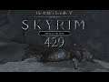 TES V: Skyrim - Special Edition [LP] Part 429 - Tod, Tod, Tod, Tod,...und Ende