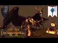 Time To Learn From MISTAKES And GREAT PLAYS. Chaos Vs High Elves. Total War Warhammer 2 Multiplayer