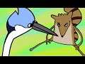 your life in regular show pacing