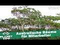 Australische Bäume für Mitarbeiter 🐘 PLANET ZOO [Deutsch] #295