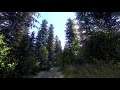 Kingdom Come Deliverance Awesome Forest  HDR RTGI Ray Trace Global Illumination