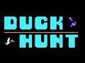 Name Registration - VS. Duck Hunt