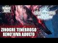 "NOVO" Zinogre Tenebroso e Safi'jiiva! Mapa Tundra e + Monster Hunter World Iceborne Dica/Guia