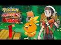 Pokemon Ωmega Rubin Nuzlocke | Part 1