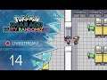 Pokemon Smaragd Party Randomizer [Livestream] - #14 - Keine Fähigkeiten kann helfen