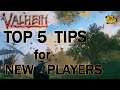 TOP 5 Tips New Players need to know! | Quick Look 2021 Roadmap! | Valheim