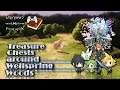 Treasure Chests around Wellspring Woods | World of Final Fantasy: Maxima