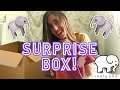 🐘 $100 IVORY ELLA SURPRISE BOX! 🐘 June 2020 Unboxing/Review 🐘