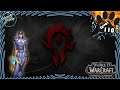 Character Review: WoW : Blood Elf Priest - Level 110