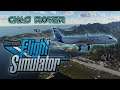 Experience level: NOOBERY. MORE LANDING CHALLENGES in MS Flight Simulator!