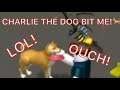 Let's play ROBLOX (CHARLIE THE DOG BIT MEππ°π±LOL!πOUCH!ππ)