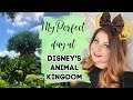 MY PERFECT DAY AT ANIMAL KINGDOM | DISNEY IN DETAIL
