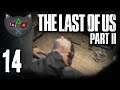(P14) Let's Play - The Last Of Us Part II [BLIND] - He JUMPED ME!