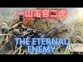The Eternal Enemy: Thousand Week Reich NATIONALIST CHINA 2