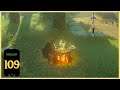 The Legend of Zelda: Breath of the Wild 100% Walkthrough - Part 109: Trial of the Sword (6)