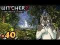 VERGEN'S FORESTS || THE WITCHER 2 Let's Play Part 40 (Blind) || THE WITCHER 2 Gameplay