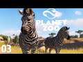 WIR BEKOMMEN ZEBRAS #03 PLANET ZOO - Let's Play Planet Zoo