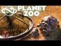 Planet Zoo - Контроль численности и лемуры ч1. #8 (Beta)